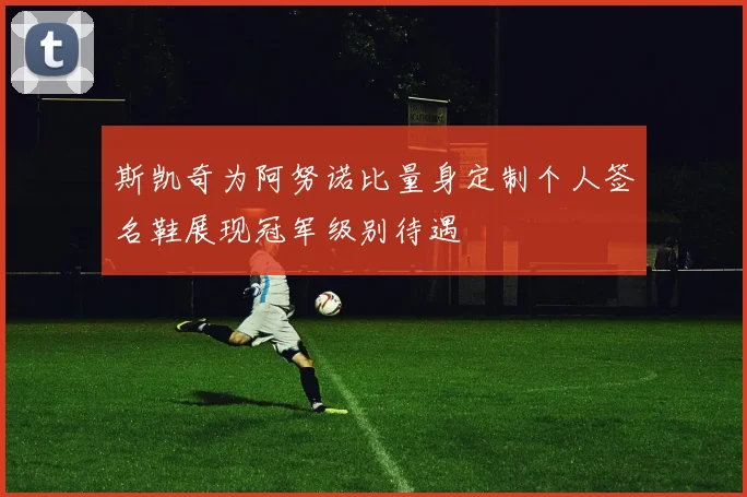 斯凯奇为阿努诺比量身定制个人签名鞋展现冠军级别待遇
